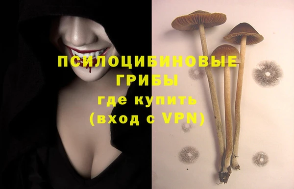таблы Алексин
