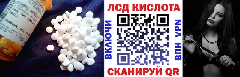 наркошоп Всеволожск Лсд 25 экстази ecstasy