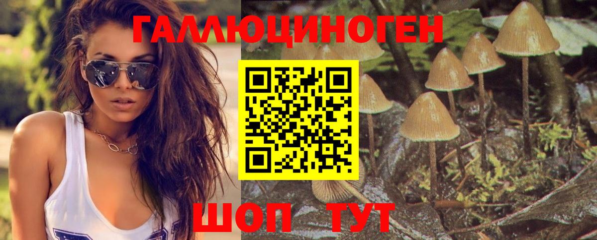 Всеволожск  Галлюциногенные грибы Psilocybe  Галлюциногенные грибы Psilocybine cubensis  Вход с VPN 