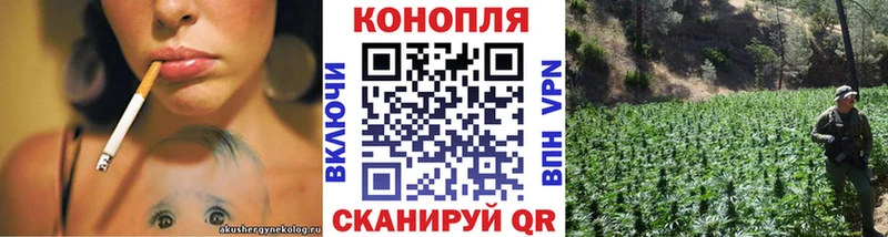 Шишки марихуана тримм наркота Всеволожск